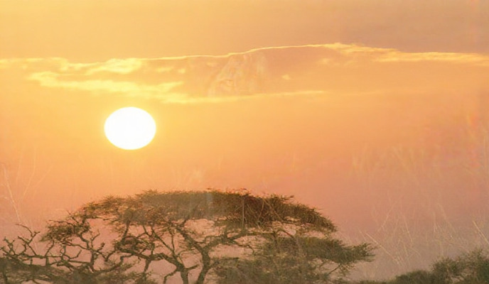 Crude Oil, CST180, LPG, Diesel, PMS